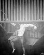 Iranisches Regime plant, politische Gefangene niederzumetzeln