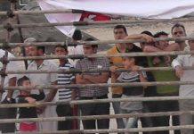 Drei Personen an verschiedenen Orten von Karaj erhängt: Fotos Kinder schauen die Szene von Hinrichtung
