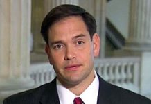 Rubio: Der neue Senat wird Gesetze zur Verhängung von Sanktionen über den Iran beschließen