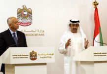 UAE geißelt die Einmischungen des iranischen Regimes im Jemen und in der Region