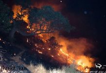 Zerstörung von hunderten Hektar an Wald- und Grasland im West-Iran bei Manövern der Revolutionsgarden