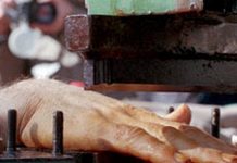 Iran: Hinrichtung fünf junger Gefangener und die Amputation der Hand eines weiteren