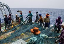 Der Iran vergibt Lizenzen an chinesische Trawler, die örtlichen Fischer haben das Nachsehen