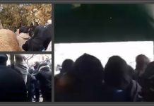 Bei der Demonstration in Sanandaj skandieren die Menschen: „Khamenei ist ein Mörder!“ „Tod dem Unterdrücker – sei es der Schah oder der Führer!“