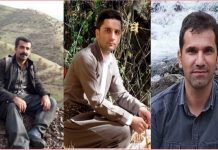 Iran: Drei für die Umwelt Engagierte wurden getötet, während sie das Feuer in Paveh löschten