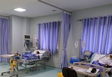 Iran: Coronavirus Update: Mehr als 155 500 Tote – 15. November 2020