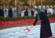 Nachrichten aus dem Iran in Kürze am 11. November 2020