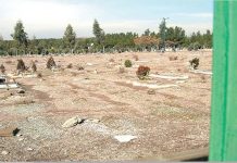 Internationaler Aufruf, die Zerstörung der Gräber der Märtyrer des Massakers von 1988 in Kharavan im Iran zu verhindern