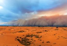 Quellen des Feinstaubs im Iran und seine Auswirkungen auf die Umwelt