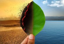 Unsichtbare Opfer: Das iranische Regime und die tödliche Wirkung auf die Umwelt