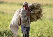 Den Vorstoß des Regimes zur Beschlagnahmung landwirtschaftlicher Flächen verstehen