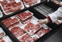 Armut, Nahrungsmittelknappheit und die Auswirkungen auf die iranische Viehwirtschaft