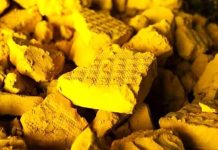 Iran: Heimliche Verhandlungen zwischen dem iranischen Regime und Niger