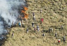Ausgedehnte Waldbrände verwüsten Wälder im ganzen Iran