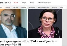 Schweden untersucht Rouzbeh Parsis mögliche Iran-Verbindungen