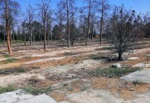 Iran: Gräbervernichtung zur Vertuschung der 1980er-Massaker