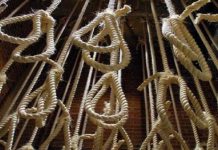 Hinrichtungen im Iran – Machtinstrument und Psychoterror