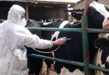 Iran: Armut, Korruption und Lebensmittelkrise verschärfen inneren Druck