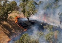 Irans Versorgungs¬krise zeigt ein Regime ohne Ausweg