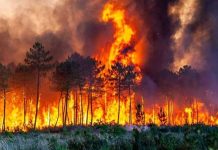 Irans brennende Lunge: Umweltkollaps und Politik