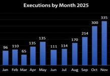 Iran: Über 2.200 Hinrichtungen 2025 – Rekord in Khameneis Herrschaft