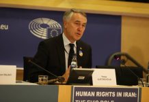 Auštrevičius fordert die Aufnahme der Revolutionsgarden auf die schwarze Liste und die Anerkennung des NWRI